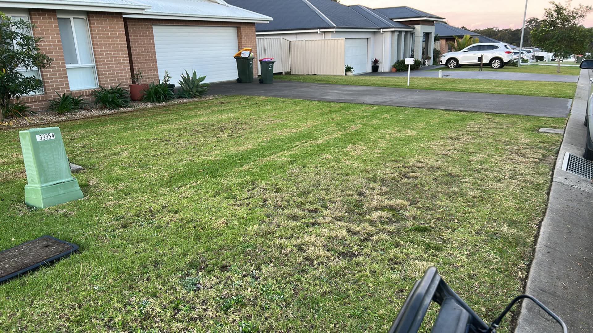Lawn Restoration In Progress