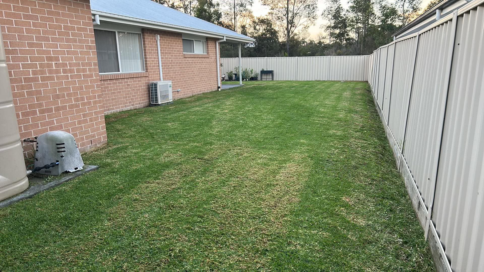 Backyard Mow & Tidy