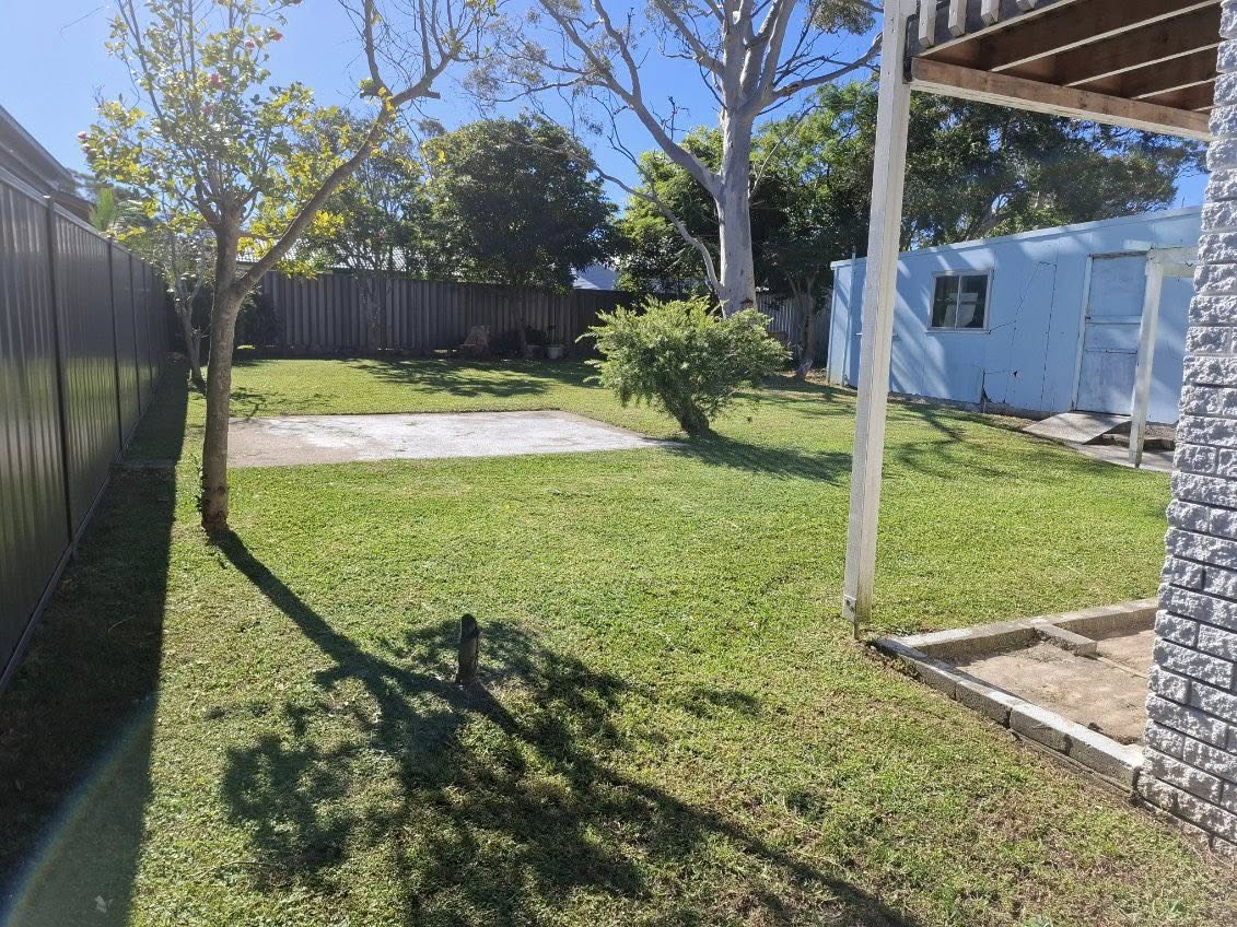 Backyard Tidy Up